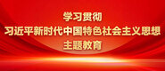 搞美女下面爽歪歪的链接学习贯彻习近平新时代中国特色社会主义思想主题教育_fororder_ad-371X160(2)